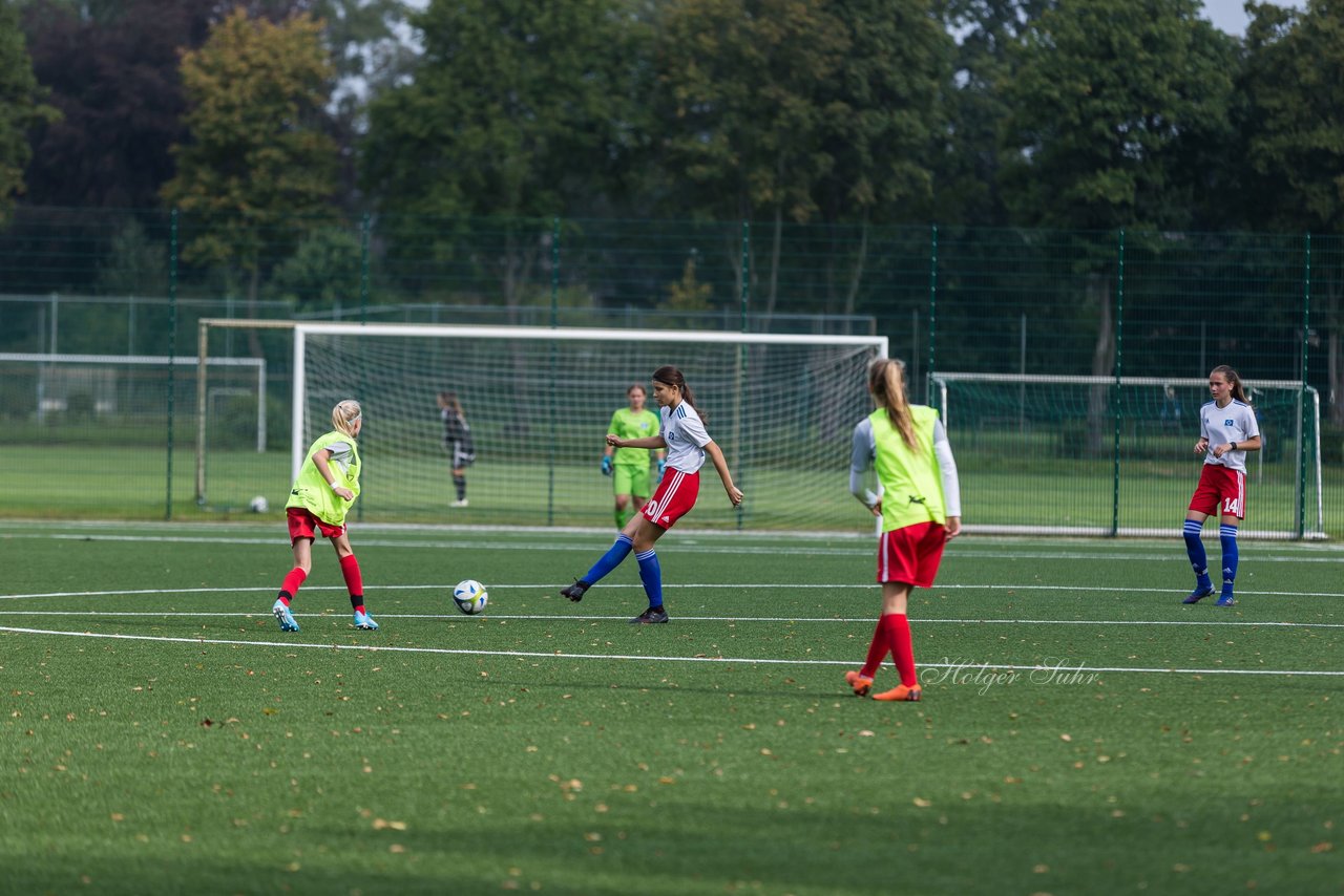 Bild 201 - C-Juniorinnen HSV - Walddoerfer : Ergebnis: 9:1